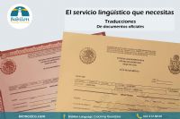 Traducciones profesionales 
